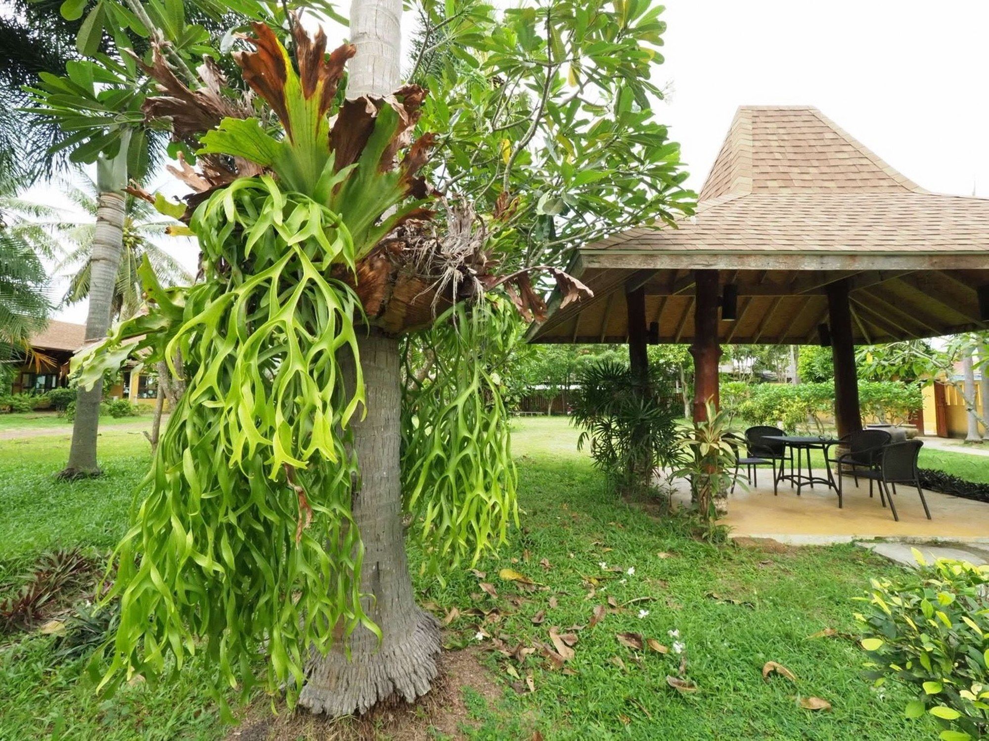 Keeree Waree Seaside Villa Bang Saphan Εξωτερικό φωτογραφία
